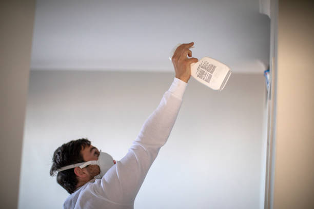 Best Crawl Space Mold Removal  in South Coatesville, PA